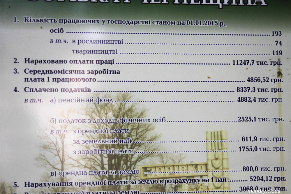 Зорівка