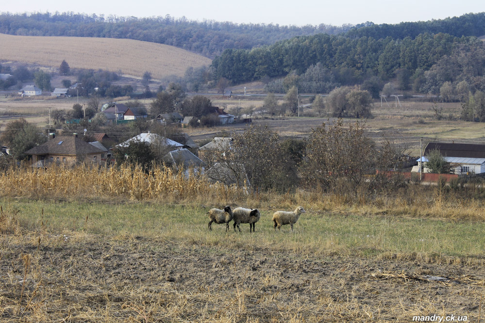 Теклине Теклине