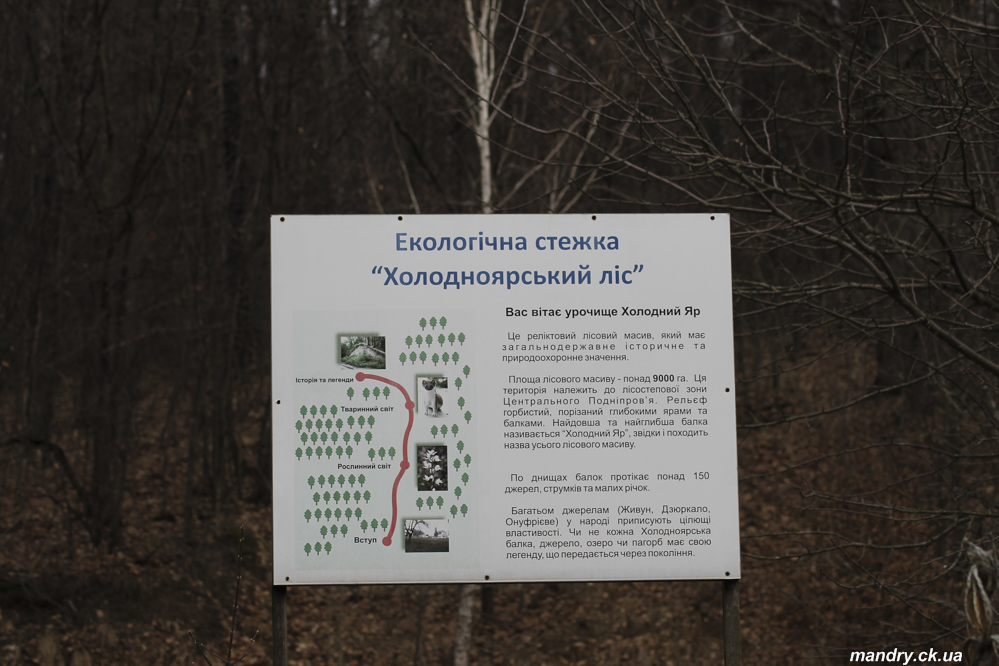 Весна в Холодному Яру 