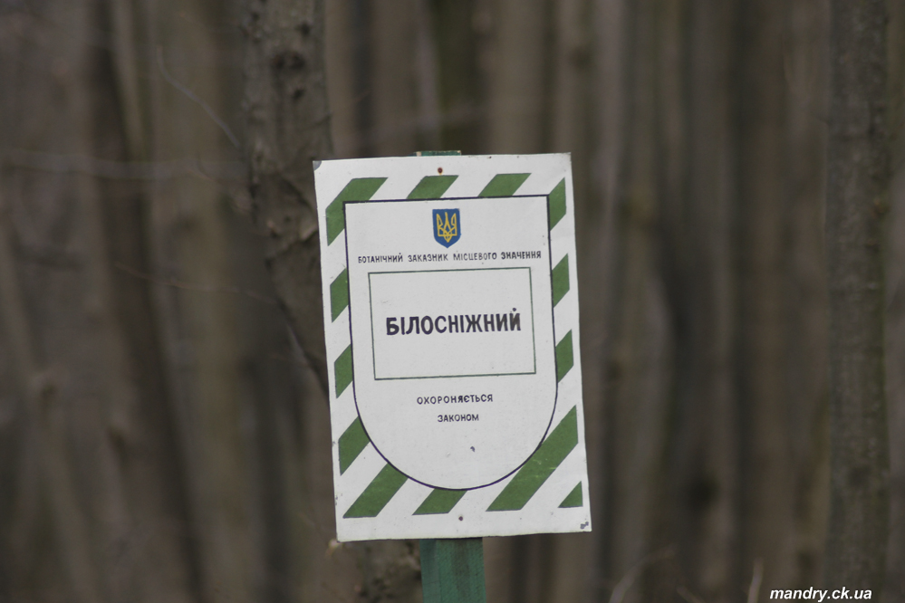 Весна в Холодному Яру