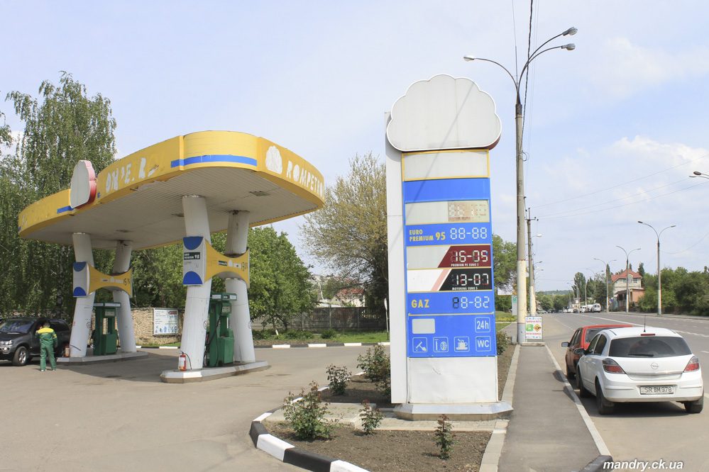 Сороки Сороки