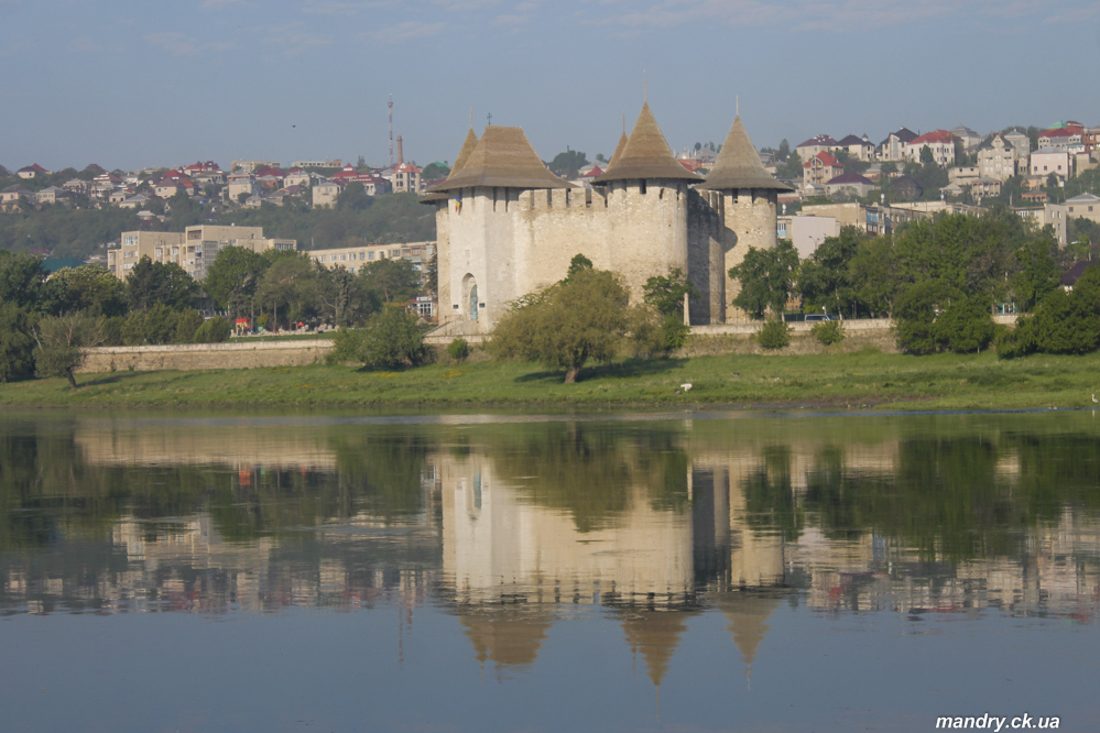 Сороки Сороки