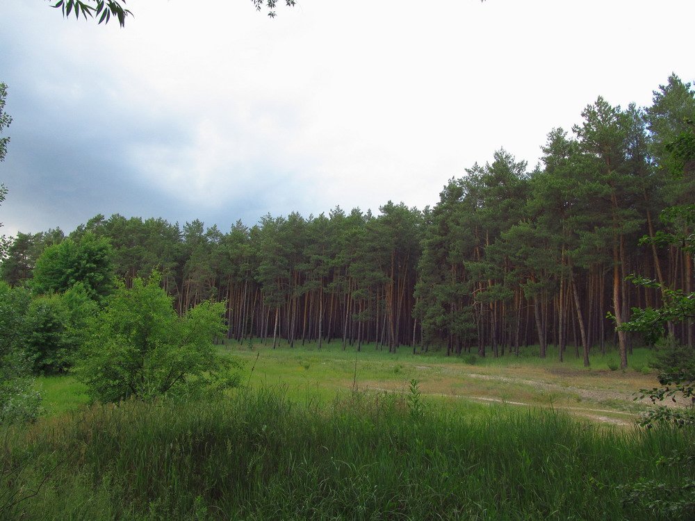 Крутьки Крутьки