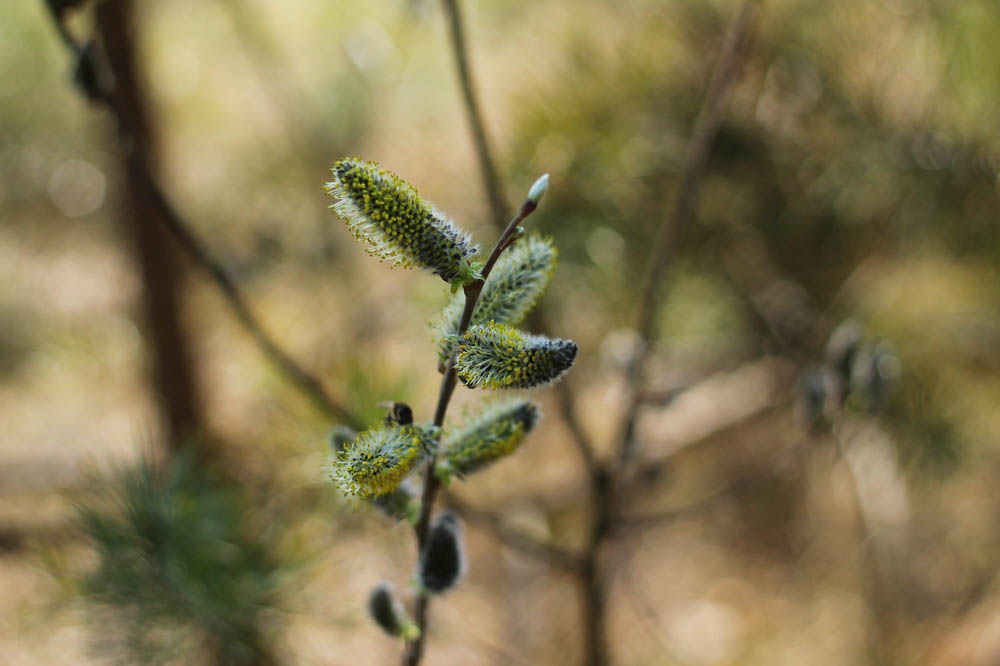 IMG_6286_resize IMG_6286_resize