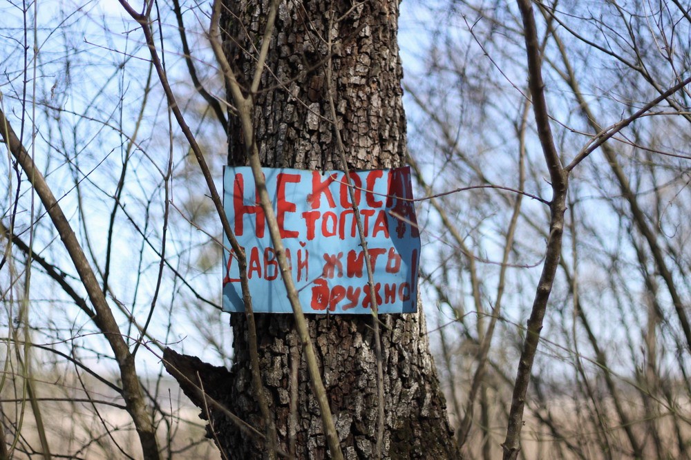 болото табличка
