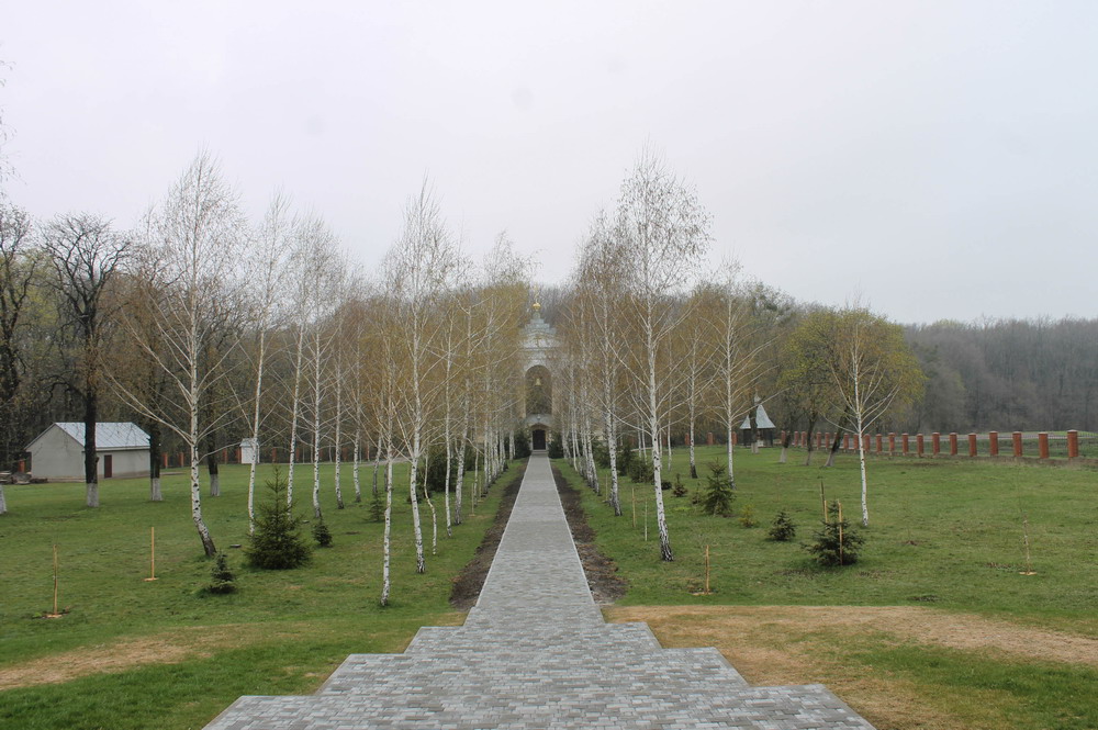 IMG_7860_resize