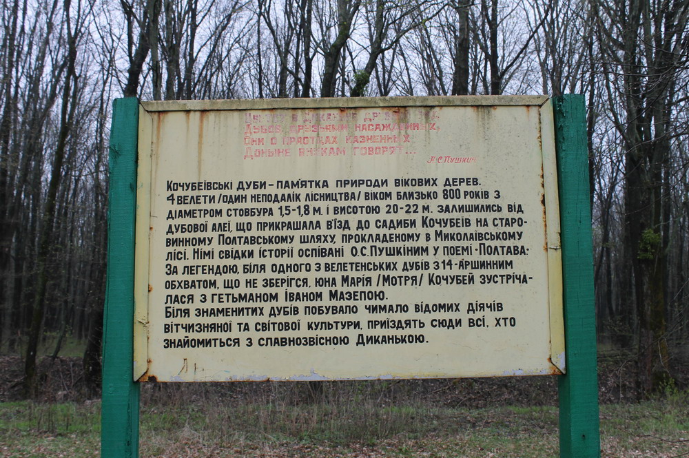 IMG_7874_resize