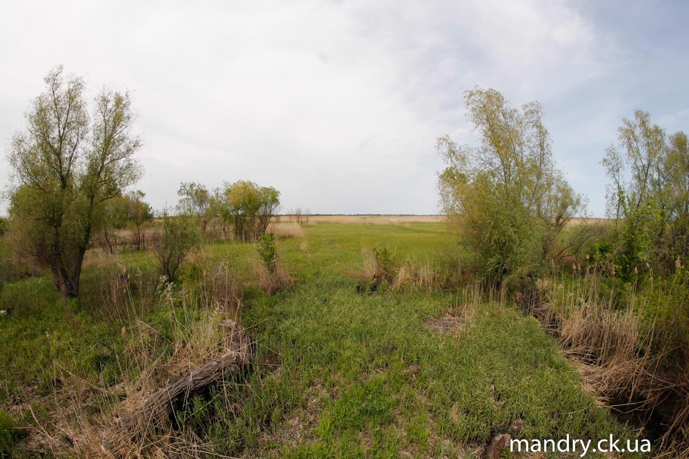 плавні але не горішні не Горішні Плавні