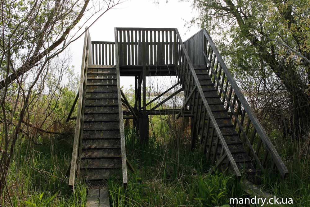 спостережна вишка спостережна вишка