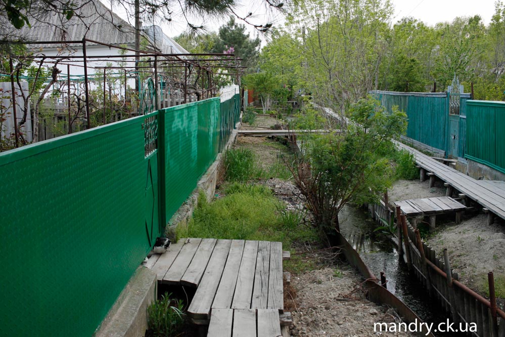 собачка у Вилкове собачка у Вилкове