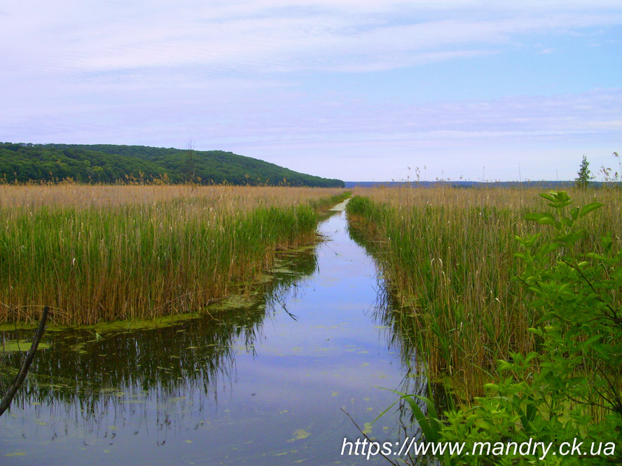 Ірдинь