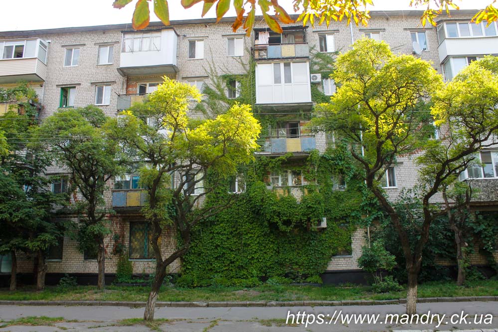 Крюків серпень Крюків серпень