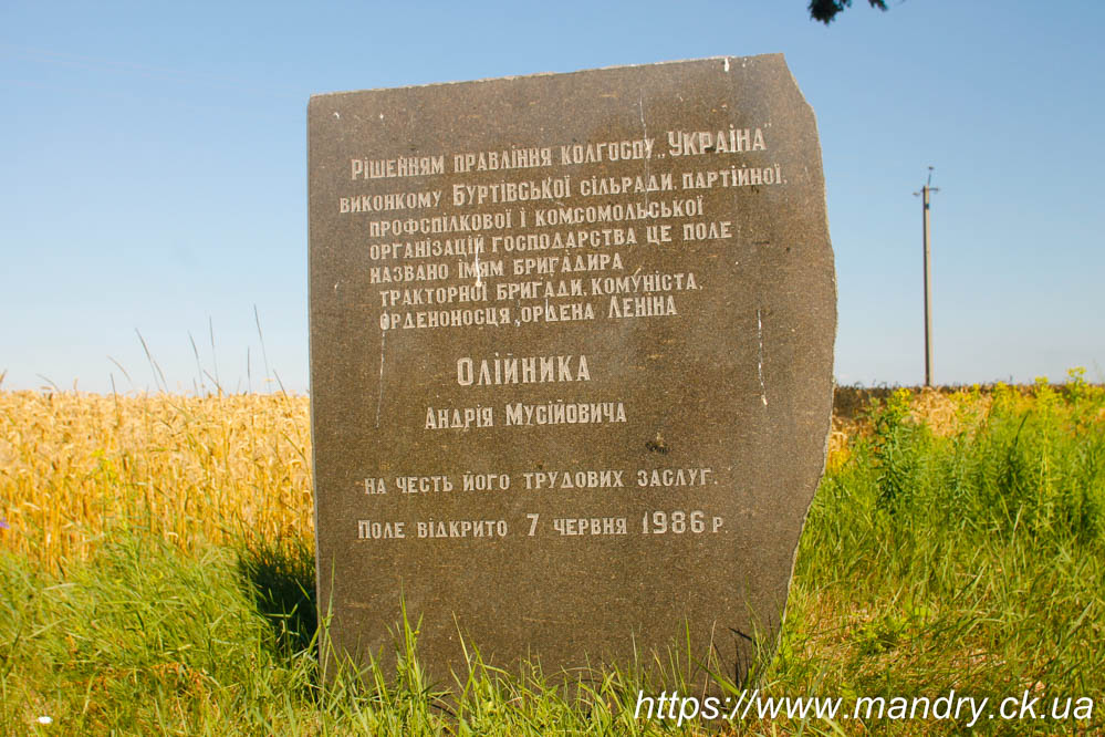 поле Олійника Андрія Мусійовича