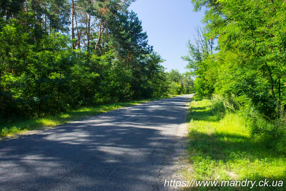 Золотоноша - Кедина Гора - Панське село Вільхи Золотоніського району