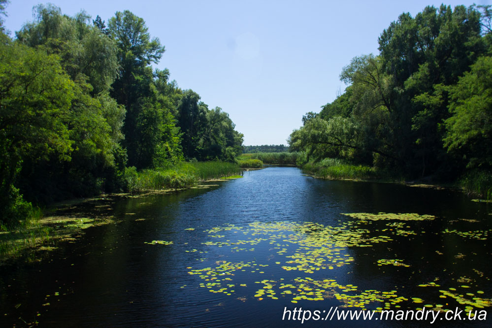 Кропивна річка Кропивна річка