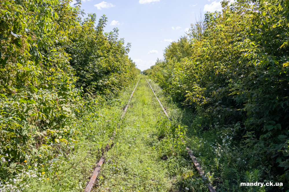 Гребінка тунель кохання