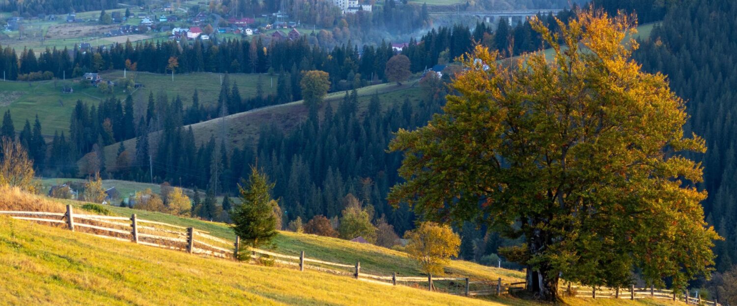 Мандрівки Україною і не тільки