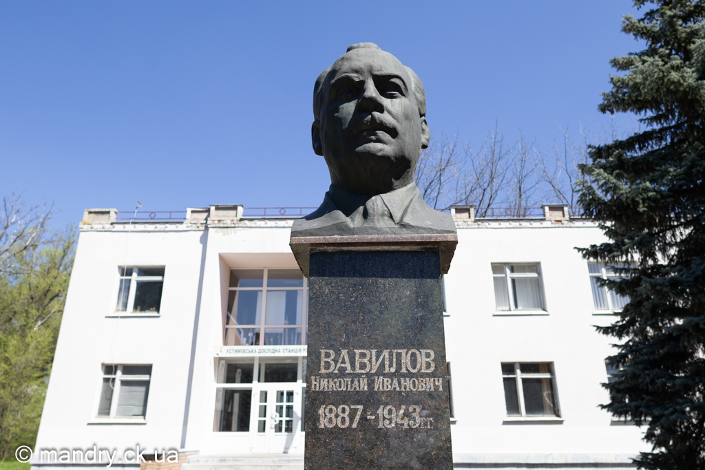 Пам'ятник Вавилову Миколі Івановичу